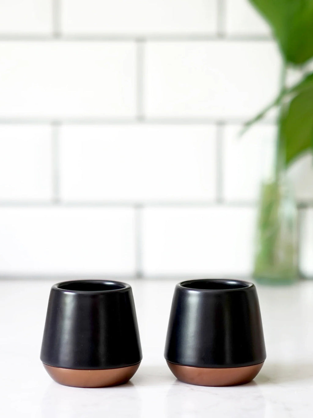 Photo of FELLOW Junior Mugs (2.3oz/68ml) (2-Pack) ( ) [ Fellow ] [ Coffee Cups ]